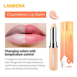 Chameleon Lip Balm Rose Hyaluronic Acid Moisturizing Nourishing Lip Plumper Lip Lines Natural Extract Makeup Lipstick