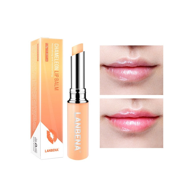 Chameleon Lip Balm Rose Hyaluronic Acid Moisturizing Nourishing Lip Plumper Lip Lines Natural Extract Makeup Lipstick